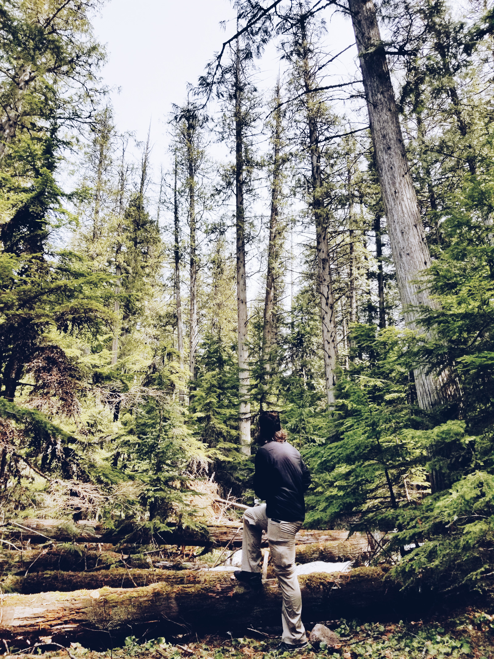 LSR Travels: Montana. | Ashley from Le Stylo Rouge